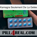 Kamagra Seulement De La Gelée new03